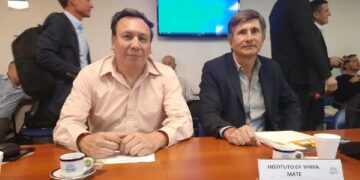 El INYM brindó un detallado panorama del sector yerbatero en la Cámara de Diputados de la Nación
