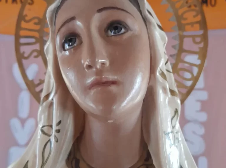 Santiago del Estero: el misterio de la Virgen de Vinará, que llora con “lágrimas de sangre” y le atribuyen curaciones