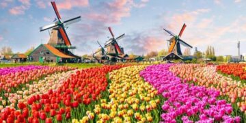10 curiosidades de Países Bajos, el rival de la Argentina