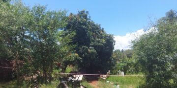 Hallaron el cuerpo de un sexagenario en el barrio Nuevo de Garupá