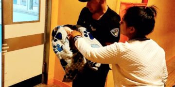 Asistieron a una beba abandonada frente a una vivienda de Oberá
