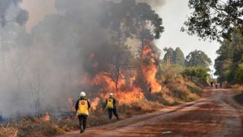 Por la elevada temperatura, el índice de peligrosidad de incendios vuelve a ser extremo en Misiones
