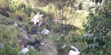 Falleció tras despistar sobre ruta nacional 101 