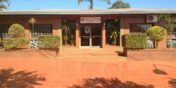 Motosierrista murió aplastado por árbol cuando realizaba apeos