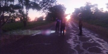Atropelló y mató a un peatón y luego huyó