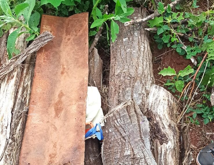 Secuestraron casi medio kilo de cocaína y un arma de fuego tras un allanamiento