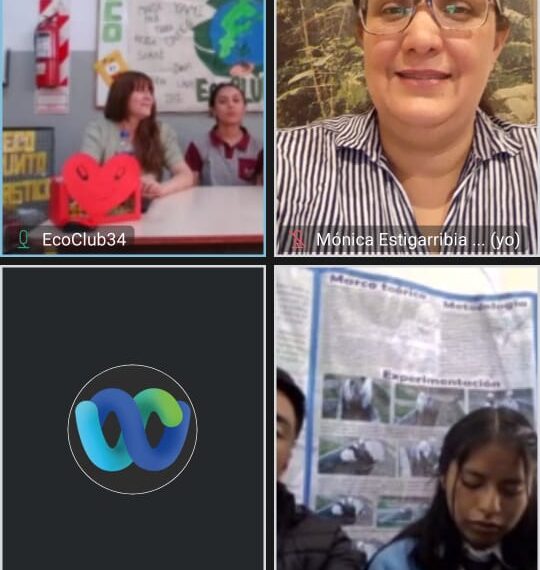 Unos 40 proyectos representan a Misiones en la Feria Nacional de Educación, Artes, Ciencia y Tecnología