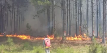 Incendios provocaron graves daños en localidades del interior de Corrientes