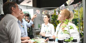 Matear: el tradicional mate se actualiza cada vez más