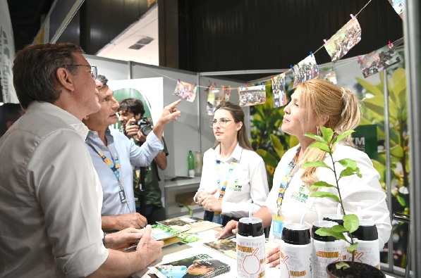 Matear: el tradicional mate se actualiza cada vez más