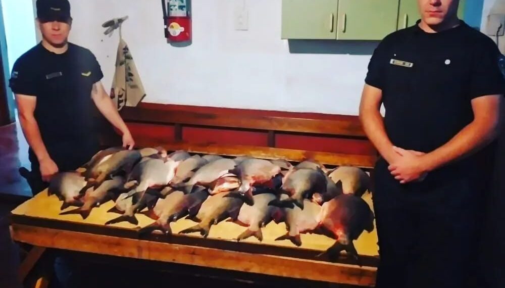 Robó 35 pescados de un campo y fue detenido cuando intentaba huir