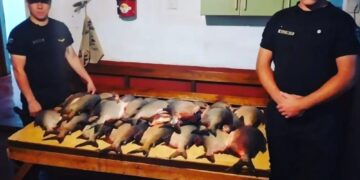 Robó 35 pescados de un campo y fue detenido cuando intentaba huir