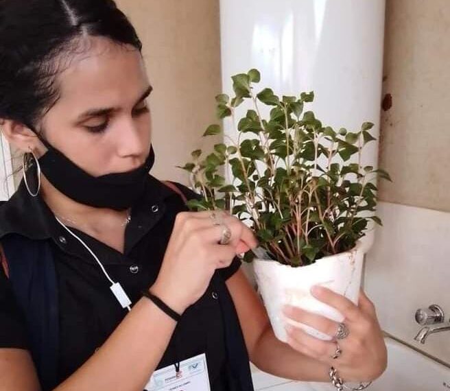 Recomiendan a extremar los cuidados para evitar proliferación de mosquitos que transmiten enfermedades