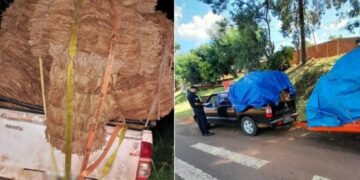 Reforzarán los controles en rutas costeras de la provincia para evitar el desvío irregular de tabaco