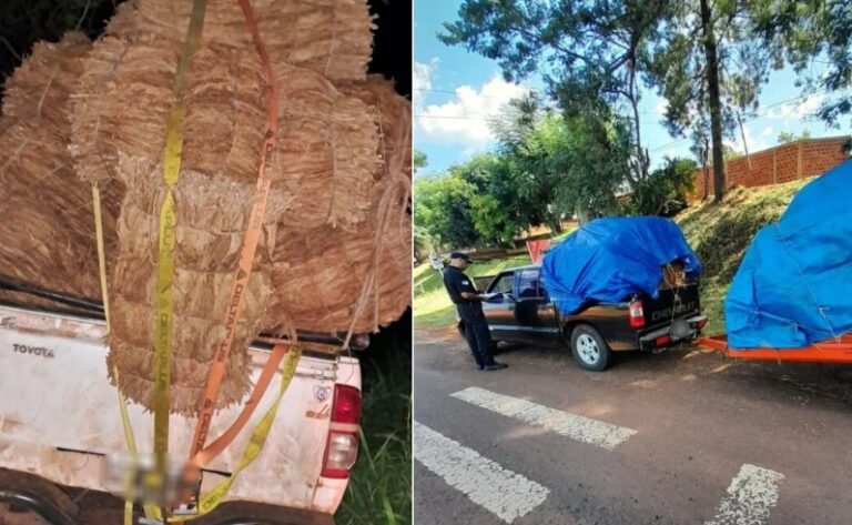 Reforzarán los controles en rutas costeras de la provincia para evitar el desvío irregular de tabaco
