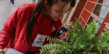 Casi 5 mil estudiantes se sumaron a la campaña para evitar la proliferación de los mosquitos Aedes aegypti