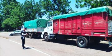 Secuestraron 8 camiones con cargas de granos que evadieron los controles de ingreso a la provincia