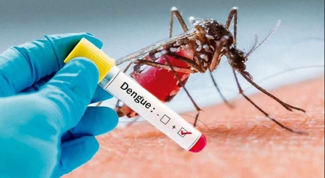 Preocupa la suba de casos de dengue y chikungunya en la Argentina