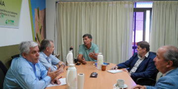 Habilitan líneas de créditos con tasa bonificada para secaderos y molinos yerbateros