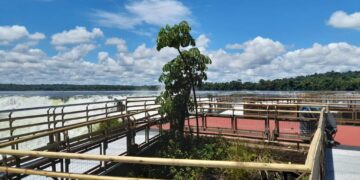 Garganta del Diablo: terminaron los trabajos de reposición de las pasarelas en Cataratas