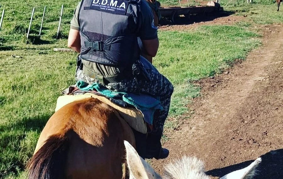 La Policía redobla los operativos preventivos en zonas rurales