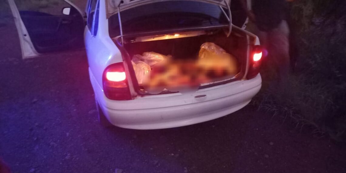 Atraparon a presuntos cuatreros y secuestraron carne faenada ilegalmente