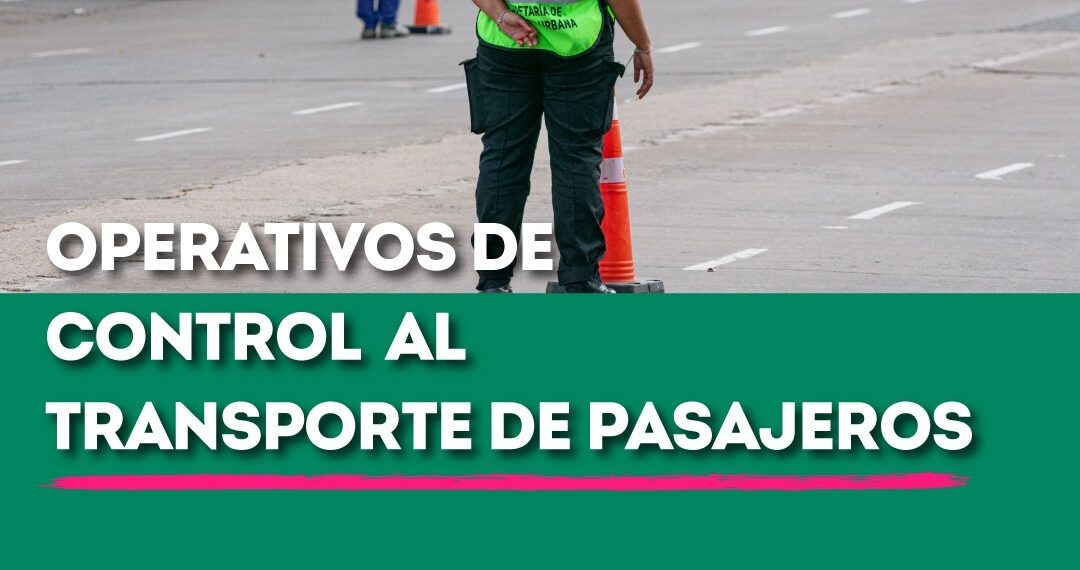 Seguridad: Continúan los operativos de control a taxis y remises