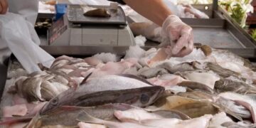Brindan recomendaciones para la adquisición y consumo de pescados en Semana Santa