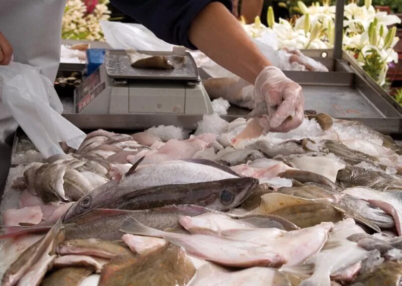 Brindan recomendaciones para la adquisición y consumo de pescados en Semana Santa