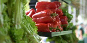 El Jueves Santo abrirán todas las Ferias Francas