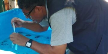 Instan a extremar cuidados para prevenir el dengue y el chikungunya
