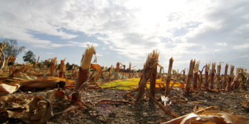 Clima: La agonía de La Niña llega a su fin… ¿y ahora qué viene?
