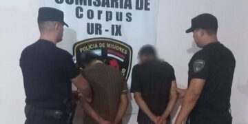 En operativos simultáneos en toda la provincia detuvieron a ocho personas por diversos delitos