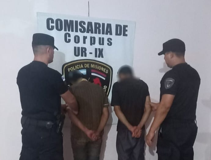 En operativos simultáneos en toda la provincia detuvieron a ocho personas por diversos delitos
