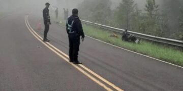 Motociclista resultó lesionado tras atropellar una vaca sobre la Ruta Costera 2