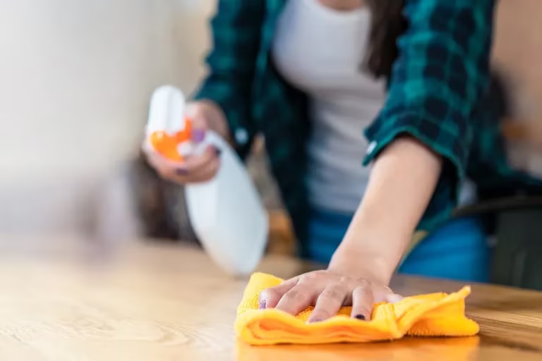 Por qué se celebra hoy el Día de las Trabajadoras del Hogar