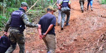 Detuvieron a cinco hombres armados que realizaban apeo ilegal en un lote privado de San Pedro