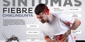 Salud: en Misiones se detectaron dos casos autóctonos de chikungunya