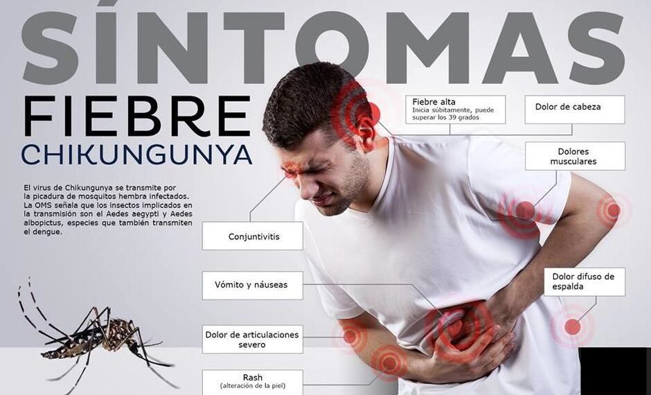 Salud: en Misiones se detectaron dos casos autóctonos de chikungunya