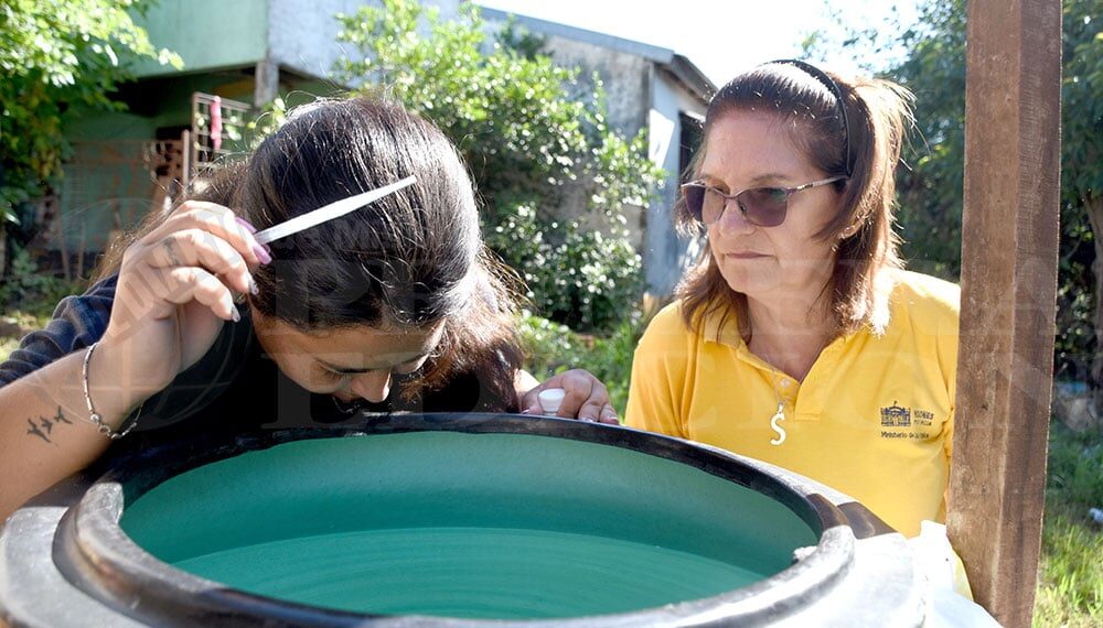 En Misiones aumentan los casos de chikungunya y el vicegobernador Carlos Arce recomienda “evitar la transmisión eliminando los criaderos del mosquito”