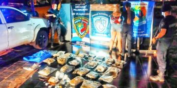 Capturaron a una mujer que llevaba 24 bolsas de droga valuada en 16 millones de pesos
