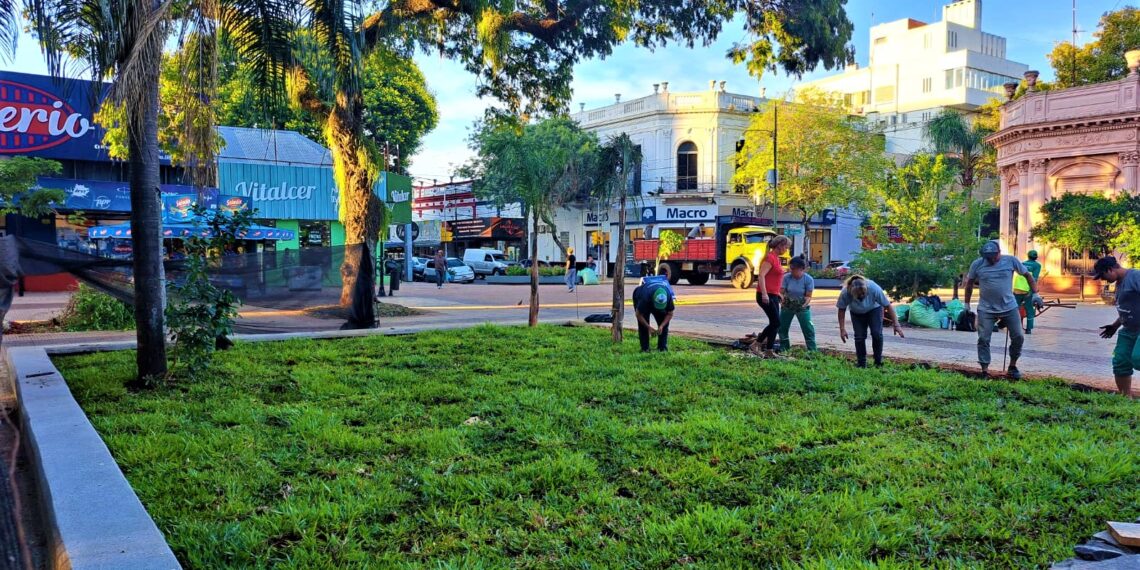 Embellecen la Plaza 9 de Julio con distintas intervenciones