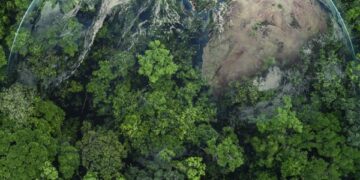 Día Mundial de la Tierra: ¿Por qué se celebra cada 22 de abril?