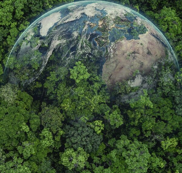 Día Mundial de la Tierra: ¿Por qué se celebra cada 22 de abril?