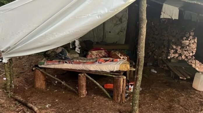 Rescataron a cuatro argentinos que trabajaban en condiciones de esclavitud en Brasil
