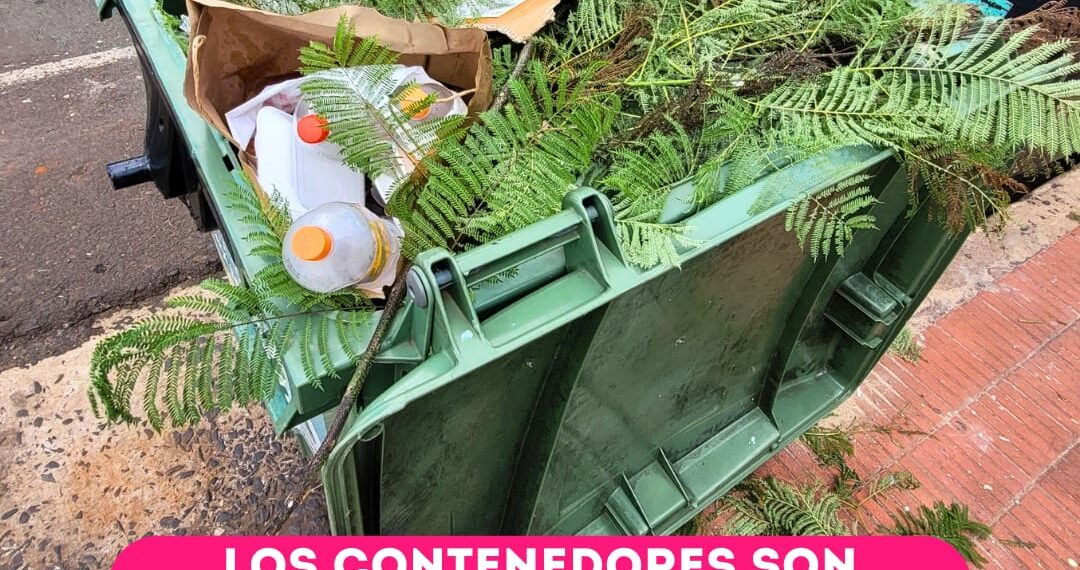 Solicitan no depositar restos de poda en los contenedores de residuos domésticos