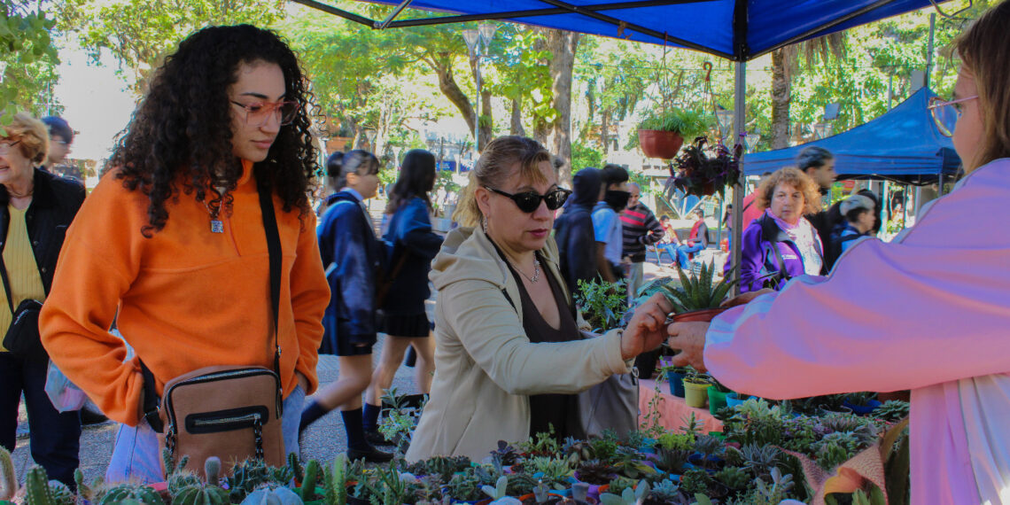 Paseo Comercial: buena participación y balance positivo