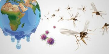 Dengue: advierten por suba de contagios en una semana atípica con altas temperaturas