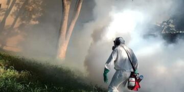 Se refuerzan las herramientas para prevenir la proliferación del mosquito Aedes aegypti