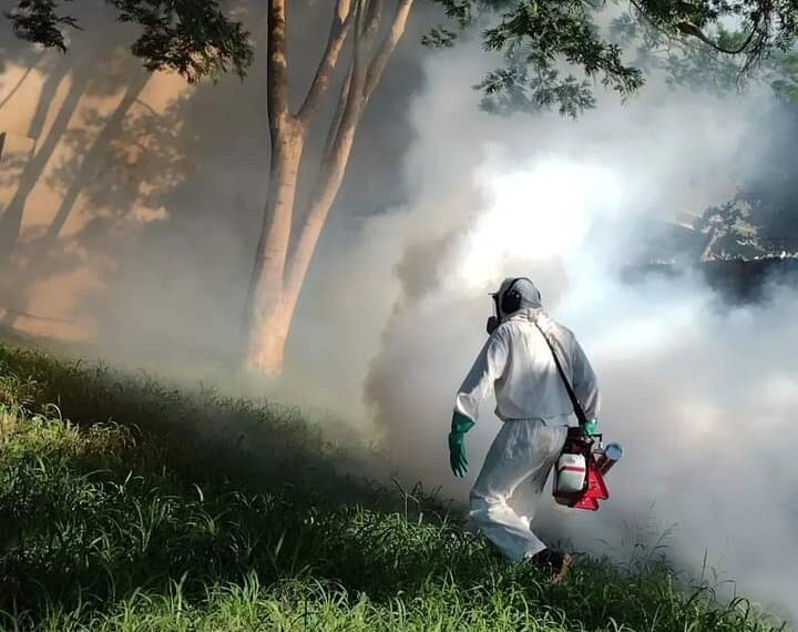 Se refuerzan las herramientas para prevenir la proliferación del mosquito Aedes aegypti